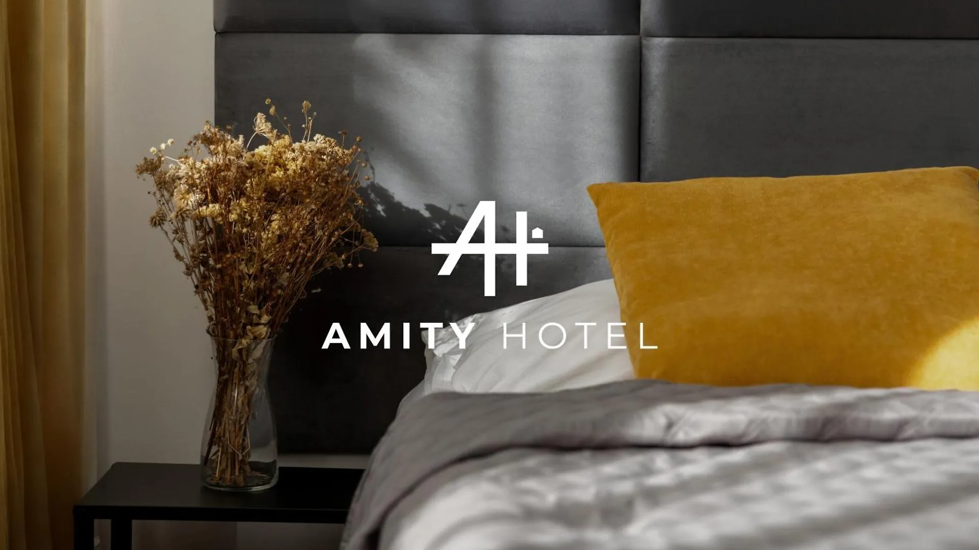 ***  Hotel Amity Prague Czech Republic